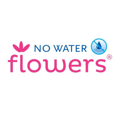 Logo No Water Flowers