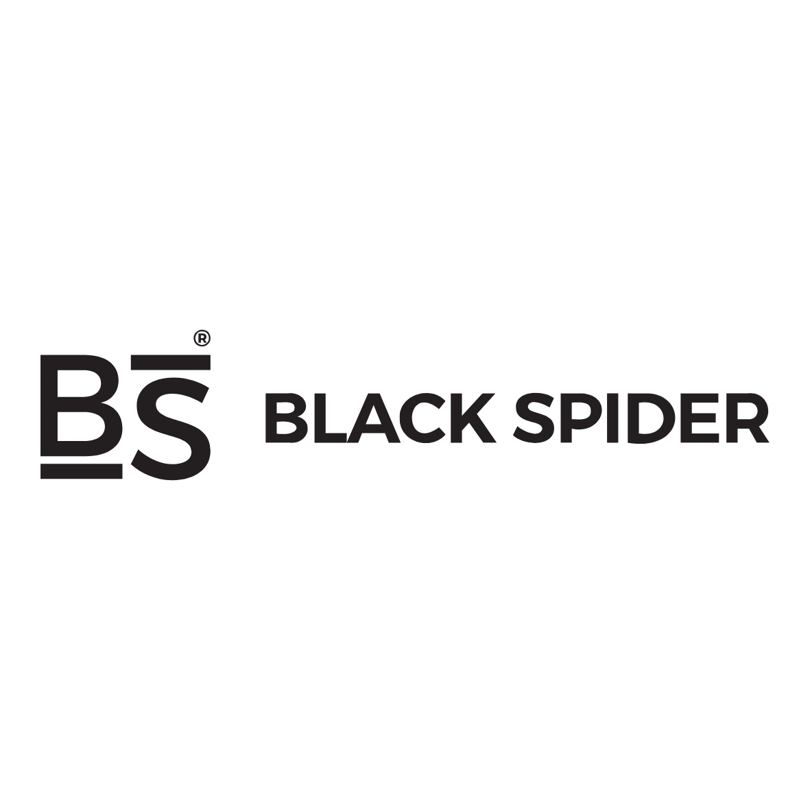 Logo Black Spider